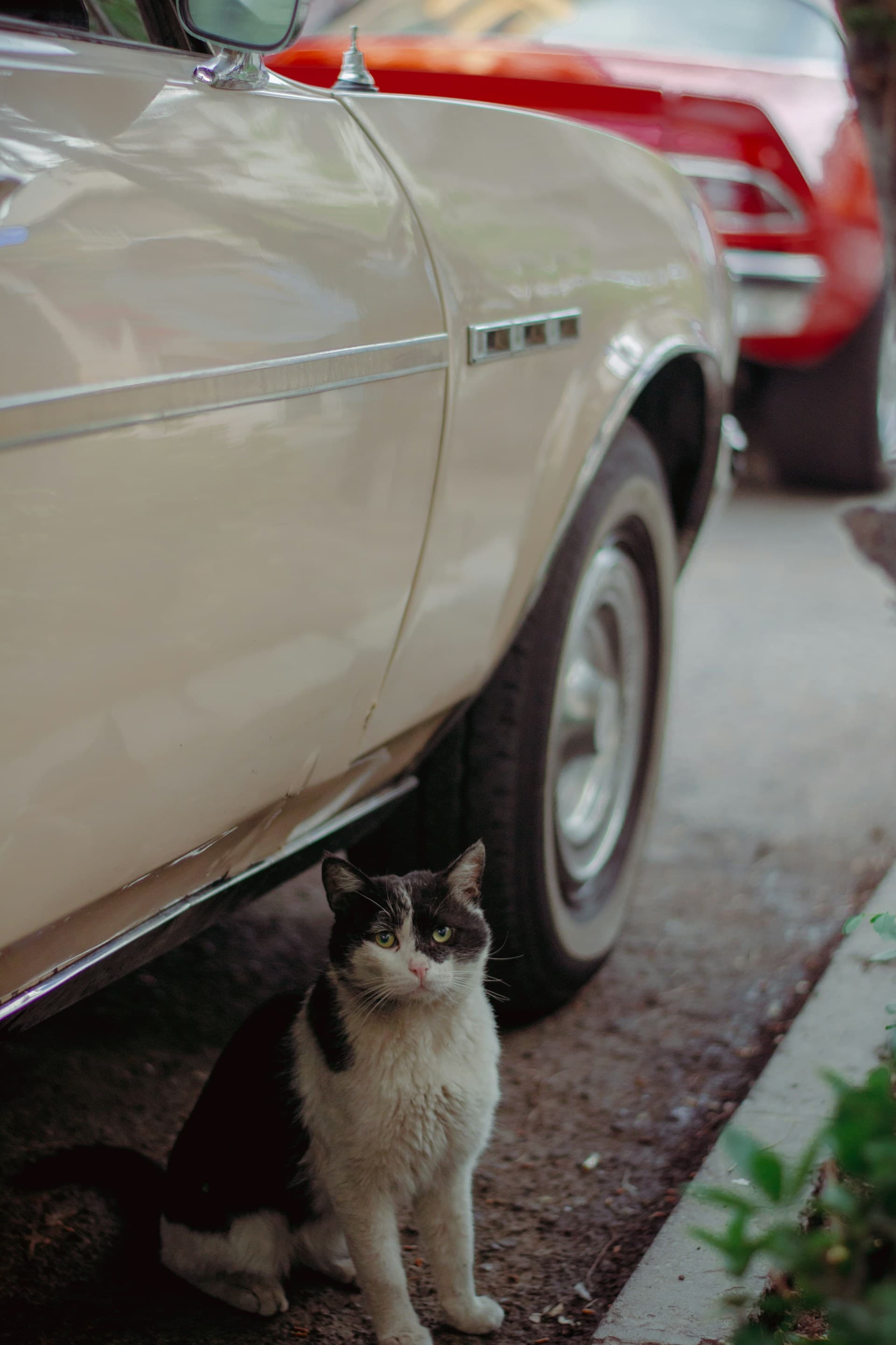 Otolog Yakıt Takibi